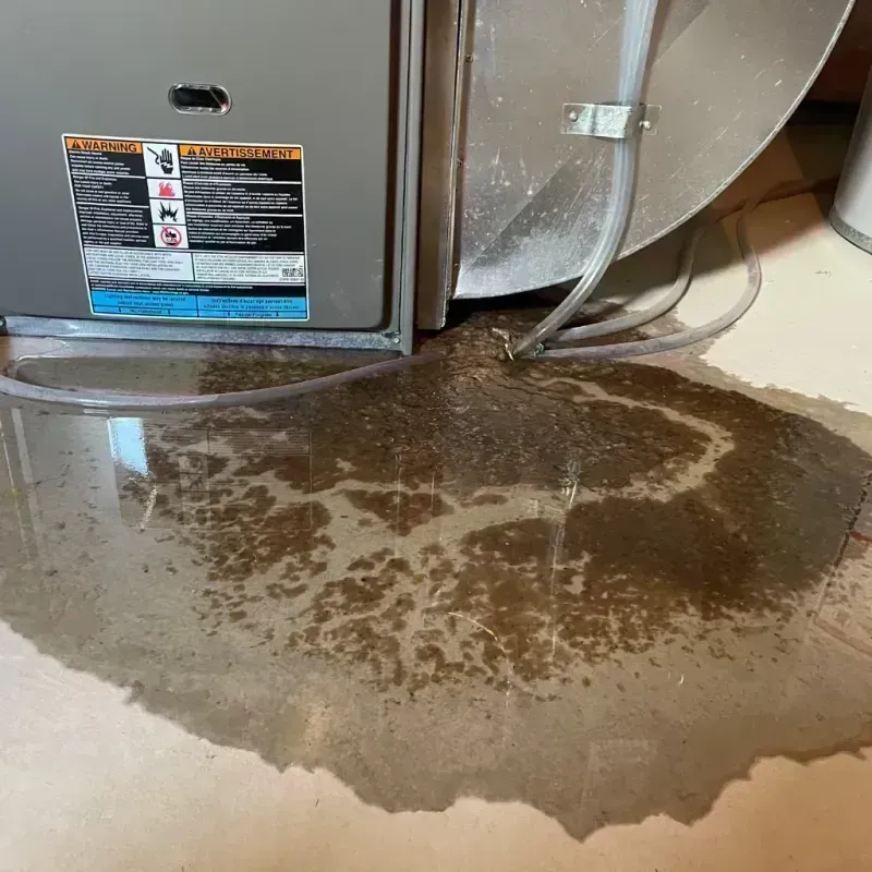 Appliance Leak Cleanup in Paris, MO